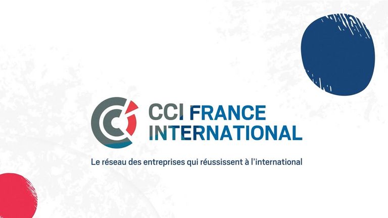 Contact Us | CCI France Jordanie